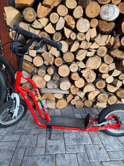 Koloběžka Yedoo Čtyřlístek Maxi Pinďa