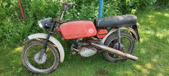 Jawa mustang