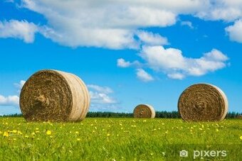 Poptávám letošní seno cca 25 balíků