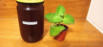 Silný rýmovnikový sirup + zdarma rýmovník