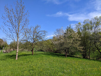 Prodám zahradu 2000m² - Frýdštejn - Sestroňovice