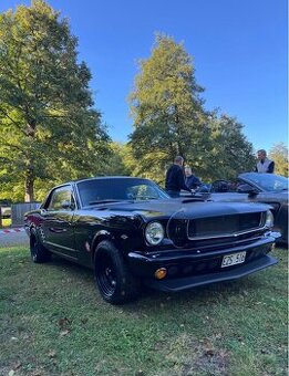 Koupím na Mustanga 64-66 side/hood scoop, spoiler