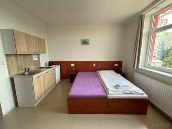 Pronájem ubytovacích prostor 1+kk, Jiráskovo nábř., České Bu