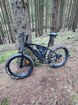 Fatbike