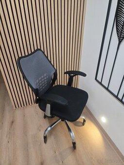 Kancelářská ergonomická židle
