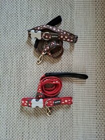 2x Obojek a vodítko  Red Dingo