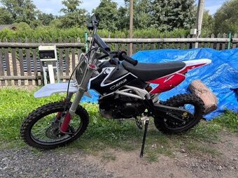 Pit bike 125ccm