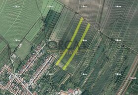 1,2 ha pozemku v k.ú. Domanín - 1