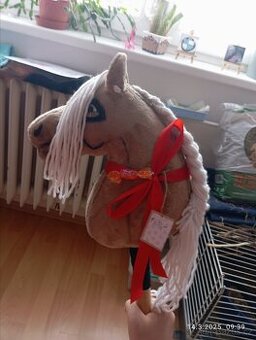 Hobby horse