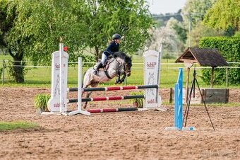 Charakterní první pony kat. S