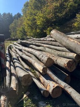 Tvrdé palivo, palivové dřevo buk, dub, habr