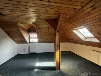 Apartmány s bydlením Podhradní Lhota - 1