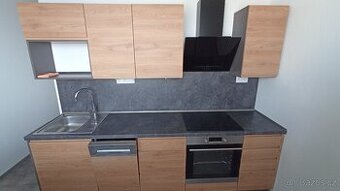 Pronájem bytu 2+1, Svitavy, Dimitrivova