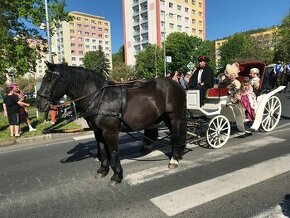 vyjížďky na koních, svatby s kočárem