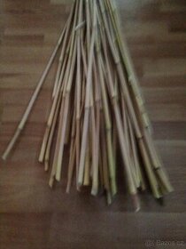 Bambusové tyče