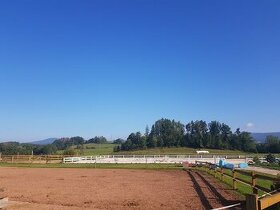 Ustájení koní - Dolní Lánov - volný box od 1.7.