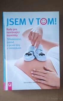 Jsem v tom