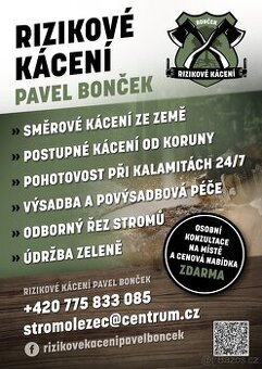 Údržba zeleně a zahrad / Profesionální péče o stromy