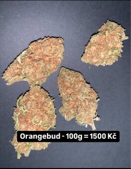 CBD kvety - 1