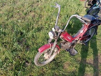 Babetta 210