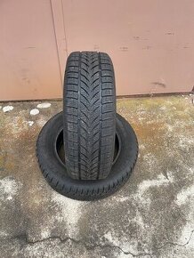 Zimní pneu 205/60/R16