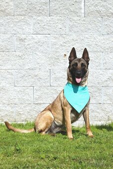 Malinoiska Naomi hledá domov