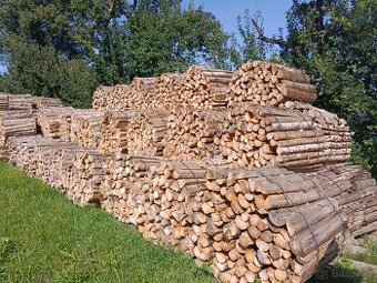 Palivové dřevo měkké, poctivě sušené -ihned k topení