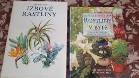 Rostliny v bytě, Izbové rastliny(slovensky)
