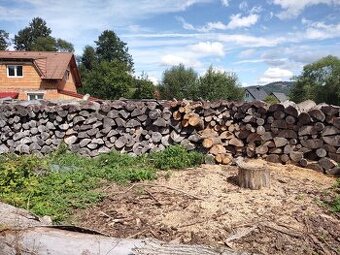 Palivové tvrdé dřevo