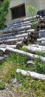 palivové dřevo, SM suchá kůrovcová kulatina