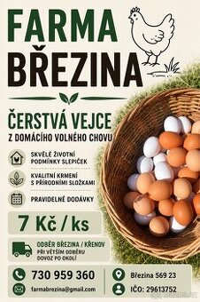 Domaci vejce