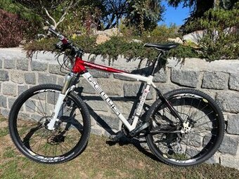 Pells Razzer Carbon race D 26"