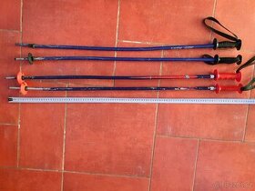 Sjezdové lyžařské hůlky, skoro zadarmo - 1