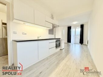 Pronájem, byty/1+kk, 39 m2, Svobodova 383, 36225 Nová Role,