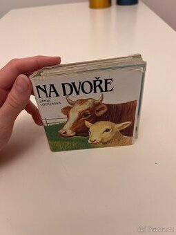 Na dvoře - 1