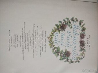 Mateřídouška vlasti naší milé, Karel Jaromír Erben - 1