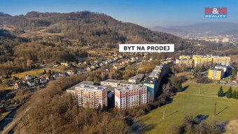 Prodej bytu 4+1, 79 m², Děčín, ul. Kosmonautů - 1