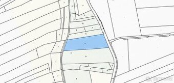 Prodej lesního pozemku, k.ú. Řepníky - 1