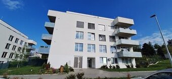 Pronájem bytu 2kk, 57m2, OV v Boskovicích - 1
