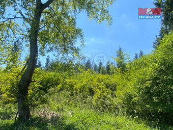 Prodej lesa, 15167 m², Kropáčova Vrutice