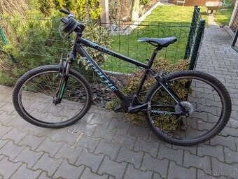 Kolo 26"