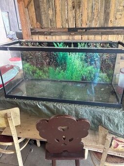 Akvarium - 1