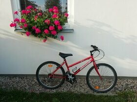 Kolo Favorit - 1