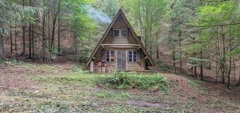 Lesní pozemek s dřevěnou chatou - 1