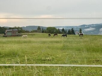 Pastevní ustájení na Masečíně