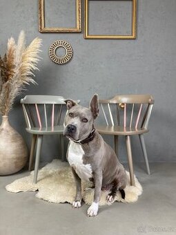 Designový nábytek Funky Furniture