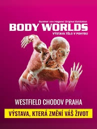 Body Worlds