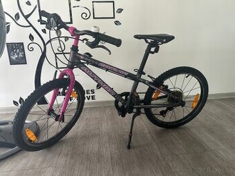Author cosmic 20" zoll