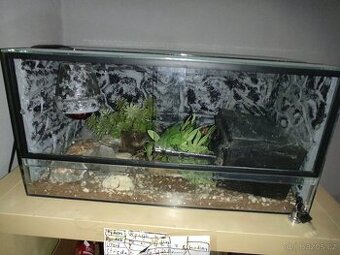 Terarium