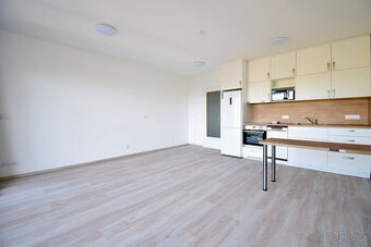 Pronájem bytu 1+kk, Hybešova, Staré Brno, 38 m2